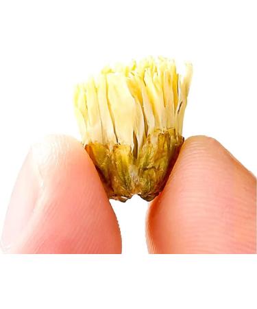 Chrysanthemum loose tea Chrysanthemum Tea Flowers 150g / 5.3oz organic chrysanthemum tea Dried Fetal Chrysanthemum Bud  - Buy Online on SooperMarket.com