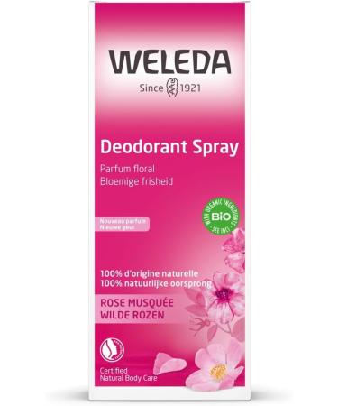 Weleda Wild Rose Deodorant 100ml Rose 100 ml (Pack of 1) - Buy Online on SooperMarket.com