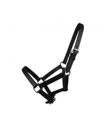 QHP Chico leather halter foal size:1 color:black Minishetland foal black