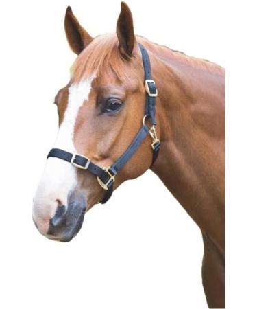 Shires Adjustable Pony/Horse Headcollar - Black Full Navy Full - Buy Online on SooperMarket.com