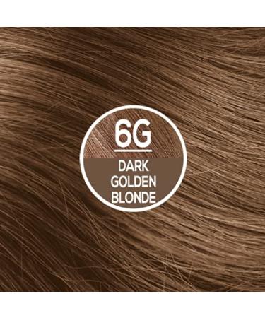Naturtint 6G Dark Golden Blonde Hair Color - Pack of 6 | Ammonia-Free, Vegan, Cruelty-Free | Up to 100% Gray Coverage | Long-Lasting Results - Buy Online on SooperMarket.com