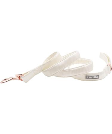 Lionet Paws Dog Leash - Premium Silk Leash for All Sizes | Matching Collars for Boys & Girls - XS White (Pack of 1) - Buy Online on SooperMarket.com