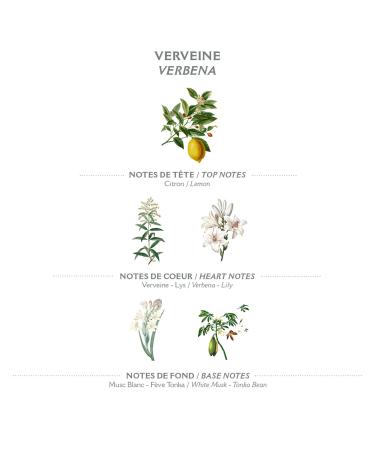 Buy Panier des Sens Verbena Soap Bar - Made in France - 2 x 150g | International Shipping Available - Buy Online on SooperMarket.com