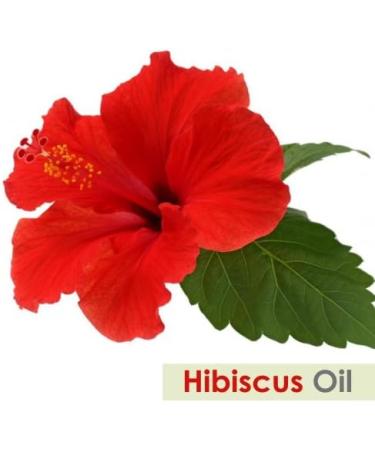 Hibiscus Sabdariffa L Essential Oil 50ML - 100% Pure Uncut Cold Pressed Premium Aromatherapy Oil - Buy Online on SooperMarket.com