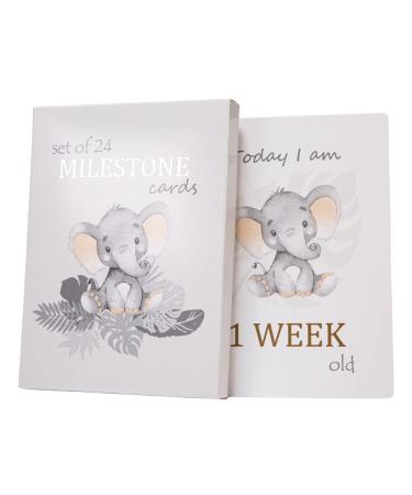Happy Homewares Cute Baby Elephant Grey Quirky and Fun Set of 24 Milestone Cards for Boy or Girl | Perfect Baby Shower & New Born Baby Gift Idea