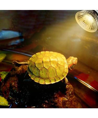 IOOTSEA Reptile Aquarium Heat Lamp 50W, Double Head UVA UVB Bulbs, Adjustable Holder for Turtle Lizard Snake - Pet Heating Light - Buy Online on SooperMarket.com