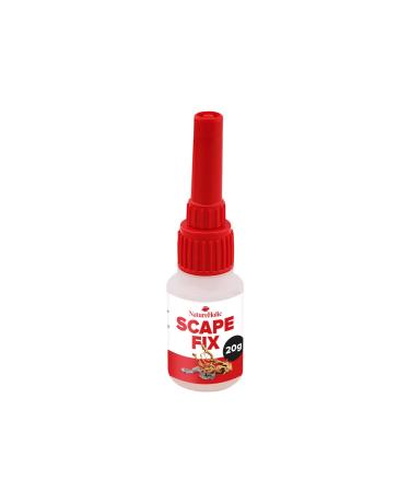 Natureholic - hardscape glue I guarantees non -toxic i perfect for aquarieendeko i for the cotton method i gluing roots stones and other aquaria decorations i 20g