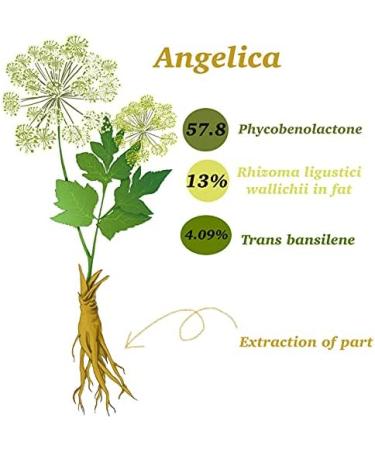 Angelica Root Essential Oil (100% Pure & Natural - Undiluted) - Perfect for Aromatherapy Relaxation Skin Therapy & More!15ml(0.49oz) - Buy Online on SooperMarket.com