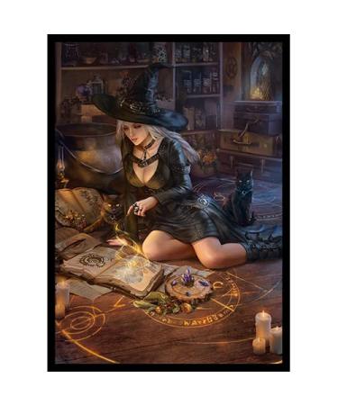 Lilibeth's Casual Conjuring - 100 Matte Card Sleeves (FN18S-B) - Fantasy North