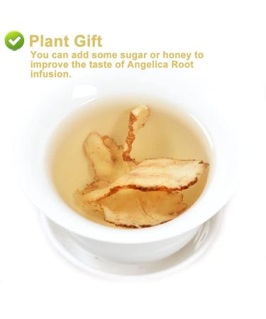 Buy Organic Angelica Root 70g - Dried Cut Root & Tea | Premium Archangelica Officinalis for Herbal Remedies - International Shipping - Buy Online on SooperMarket.com