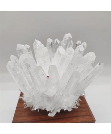 Home Decor 1pcs Natural Raw Quartz White Clear Crystal Cluster Stones Crystal Point Specimen Home Decoration Raw Crystals Gifts Natural Crystal (Size : 700-800g) Crystal Cluster (Size : 300-400g)