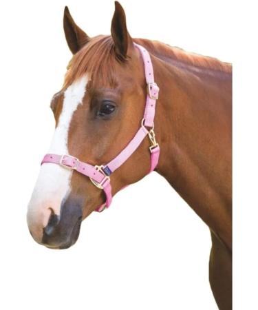 Shires Adjustable Pony/Horse Headcollar - Black Full Navy Full - Buy Online on SooperMarket.com