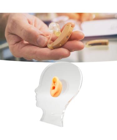 Flexible Waterproof Fake Ear Model for Hospital - Professional & Lifelike Display Mould - Buy Online on SooperMarket.com