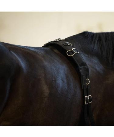 Horze Lunging Surcingle - Black Nylon - Pony Size - Buy Online on SooperMarket.com