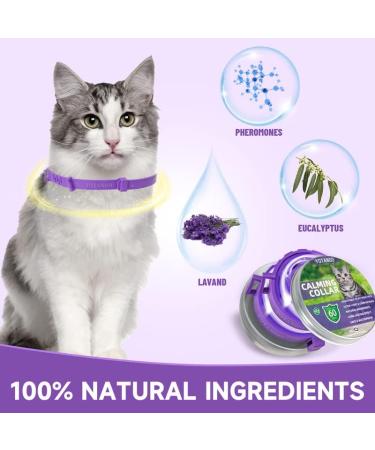 Calming Cat Collar for Anxiety Relief | Adjustable, Waterproof, Safe Pheromone Anti-Anxiety Treatment | Natural Calm for Kitten, Medium, Large Cats | Purple (2 Pack) - Buy Online on SooperMarket.com