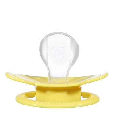 Landofgenie Adult Pacifier Large Teat Shield - 3 Pack Blue White & Yellow Bear Shaped - Perfect for Comfort & Style - Buy Online on SooperMarket.com