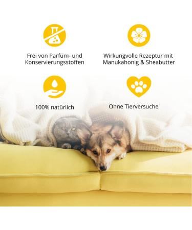 Purapep Care - Manuka Balsam for Dogs & Cats | Skin & Paw Regeneration | 50ml - Soothing Care for Stressed & Irritated Skin - Buy Online on SooperMarket.com