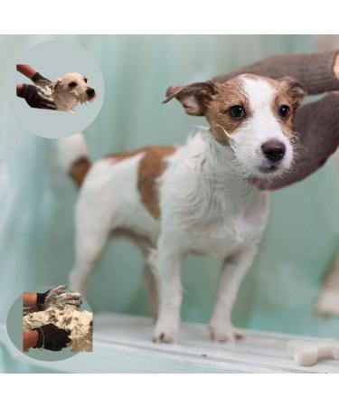 Flea Shampoo for Dogs and Flea Comb Bundle Premium Anti-Flea Dog Cleaning Products Pet Home Treatment for Fleas Natural Ingredients Deep Cleansing and Grooming Kit Easy to Use - Buy Online on SooperMarket.com