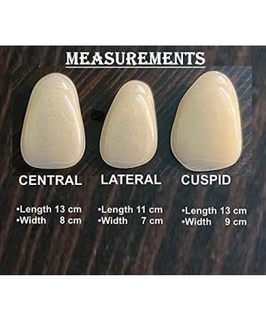 Ultra Thin Tooth Whitening Veneers for Missing or Broken Teeth | Realistic Cosmetically Enhanced Smile | Shade A-2 - Buy Online on SooperMarket.com
