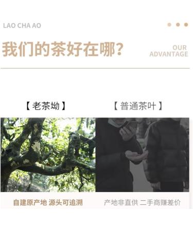 Pu-erh tea 2016 Jingmai 357g.Raw - Buy Online on SooperMarket.com