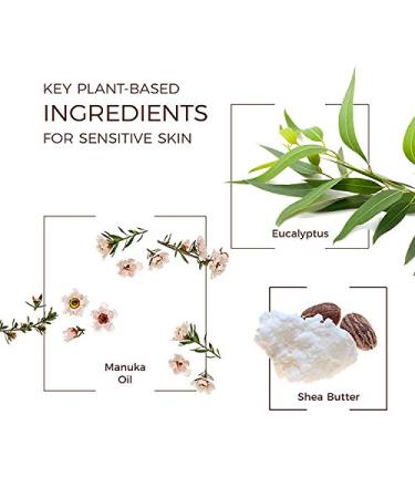 Babo Botanicals Eucalyptus Remedy Hand Soap - Manuka Oil, Organic Argan Oil & Aloe - Gentle for Babies, Kids & Sensitive Skin - Vegan & Hypoallergenic - 17.6 fl. oz - Buy Online on SooperMarket.com