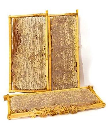 Buy ImkerPur ORGANIC Honeycomb (Acacia/White Robinia) 400g - Food-Safe Freshness Box - International Shipping Available - Buy Online on SooperMarket.com