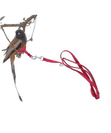 Balacoo Flight Harness for Cockatiels Parrot Harness Training Parrot Bird Harness Parakeet Cinch Belt Birdemic Parrot Accessories Birds Leash Bird Collars Small Parrot Strap Red