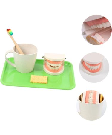 Frcolor Early Dental Education Role-Playing Toys | Wooden Puzzle for Kids & Toddlers - Learn to Brush Teeth Fun! - Buy Online on SooperMarket.com