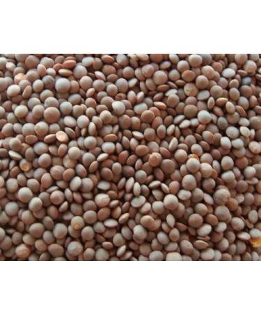 500g Organic Lentils Vegan & Gluten Free Legumes Split and Whole Daal Curry Gravy Dal Masoor Moong Bengal Gram (Brown Masoor Whole)