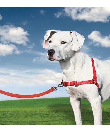 PetSafe Easy Walk Harness - Anti-Pull Dog Harness Red Size L with 1.8M Leash | Reduce Choking & Coughing | International Shipping Available - Buy Online on SooperMarket.com