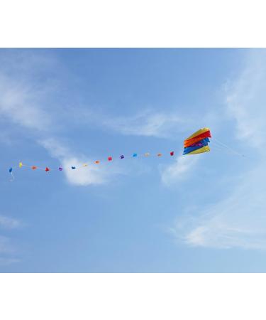 Besra Colorful Parafoil Kite with Long Tail - Easy to Fly Outdoor Fun for Kids & Adults | 20 inch - Buy Online on SooperMarket.com