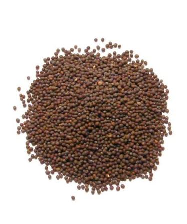 Brown Mustard Seeds (brown rai) - 50g