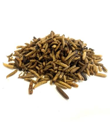 Dried Calciworms 2kg Premium Wild Bird & Hedgehog Food Insect 2 kg (Pack of 1)