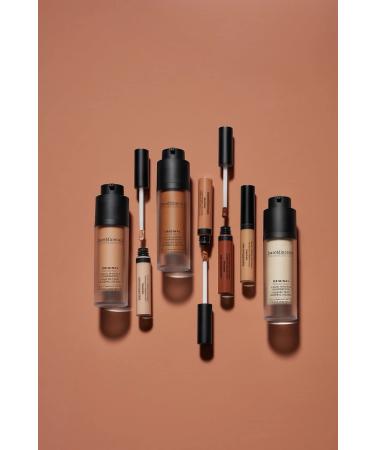 BareMinerals Fair 1N Liquid Mineral Concealer 0.2 Fl Oz - Pack of 1 - Buy Online on SooperMarket.com