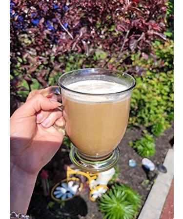 Nutriplus Chicory: Instant Coffee & Chicory Blend with Prebiotic Fiber for Digestive Health - Buy Online on SooperMarket.com