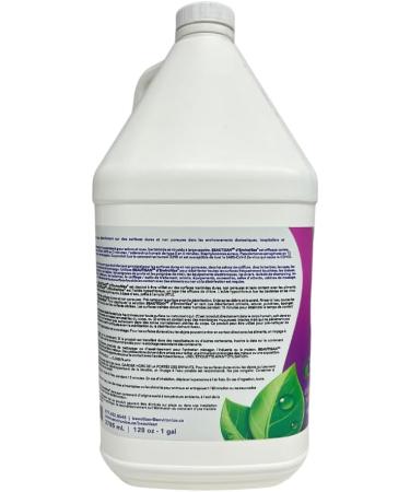 Beautisan Spa & Salon Cleaner & Disinfectant - Made of Hypochlorous Acid (HOCL) - Multipurpose & All Purpose Cleaner Sanitizer & Deodorizer for Floors Surface Furniture & More - Buy Online on SooperMarket.com