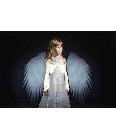 Spekular Light Blaster Creative Wings Kit - Transform Your Photography with Stunning Effects - Buy Online on SooperMarket.com