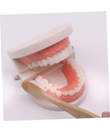 Frcolor Early Dental Education Role-Playing Toys | Wooden Puzzle for Kids & Toddlers - Learn to Brush Teeth Fun! - Buy Online on SooperMarket.com