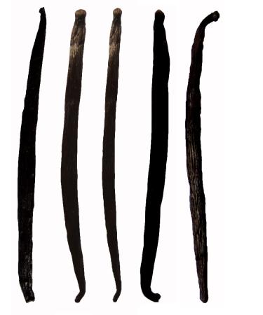 Royal Brand Vanilla Bourbon Madagascar Pods 15-20 cm Long 5 pods/Beans Grade A