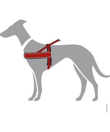Buy HUNTER RACING Norwegian Harness | Size S (42-53 cm) | Red/Black | International Shipping Available - Buy Online on SooperMarket.com