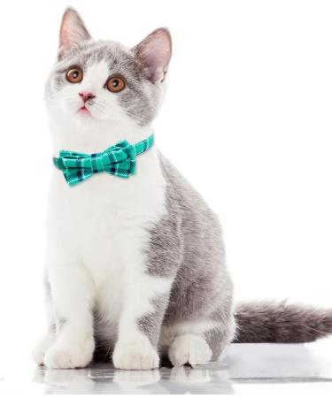 Tagme Turquoise Cat Collar with Personalized Name & Phone Number - Safe Kitten Neck Band with Bell | 1 Pack - Buy Online on SooperMarket.com