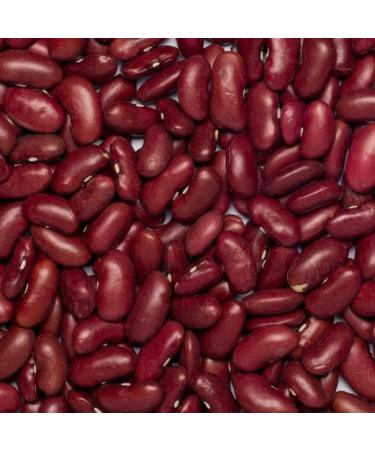 Wholefood Earth Organic Red Kidney Beans 3kg - Raw, Vegan, High Fibre & Protein, GMO-free - Buy Online on SooperMarket.com