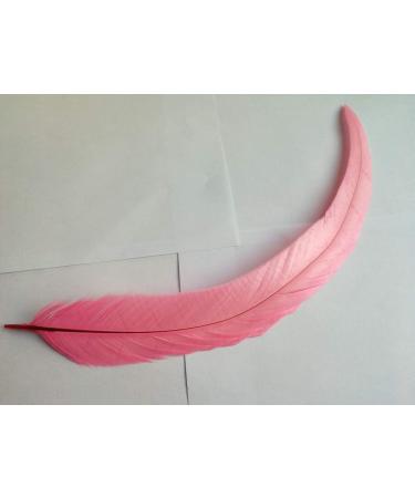 50pcs Pink Rooster Coque Tail Feathers 13-16 Inches - Hat Costume & Craft Decoration - Buy Online on SooperMarket.com