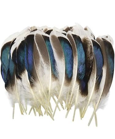LUORNG 150PCS Duck Feathers  Natural Feathers for DIY Craft Art  Decor Feathers for Carnival Halloween Handwork Clothing Costumes Hair Hats Crafts Home Wedding Party Decoration
