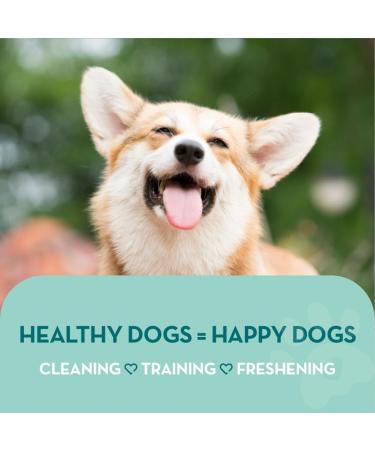 Pet Odour Eliminator: All-Natural Dog & Cat Urine Cleaner - 1 Litre - Buy Online on SooperMarket.com