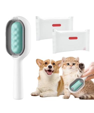 Animal hair removal ridge with water tank cleaning brush for animal hair with dry towels Essence fluid cat brush dog brush pets animal hair remover with water tank for remove hair with 2PCs dry towels long-haired green