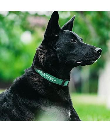 Buy Tagme Personalized Reflective Dog Collar for Medium Dogs - Embroidered Nylon with Pet Name & Phone Number - Turquoise - Buy Online on SooperMarket.com