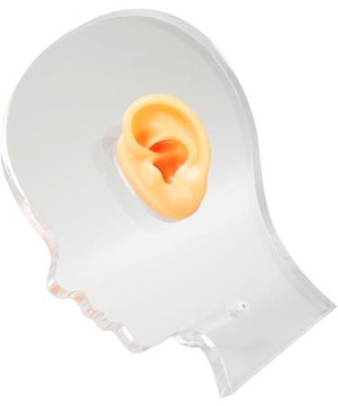Flexible Waterproof Fake Ear Model for Hospital - Professional & Lifelike Display Mould - Buy Online on SooperMarket.com