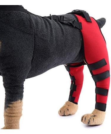 Pet Dog Knee Brace ACL Brace for Dogs Rear Leg Dog Braces for Back Leg for Support for Heals Prevents Injuries Sprains Red Medium Medium Red - Buy Online on SooperMarket.com