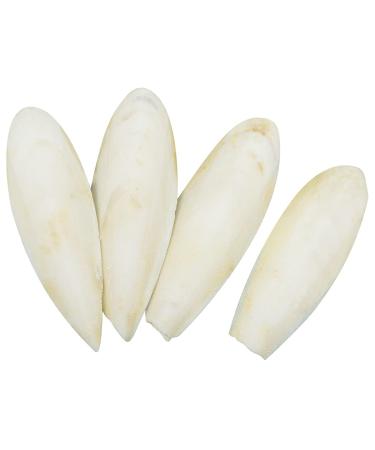 Leikedun 4 PCS Large Cuttlefish Bone(13-16cm) Birds Parrots Chewing Toys Birds Chew Toys Natural Cuddle Bone for Parrots Cage Birds Reptiles Tortoises Snails